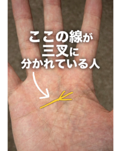 手相感情線